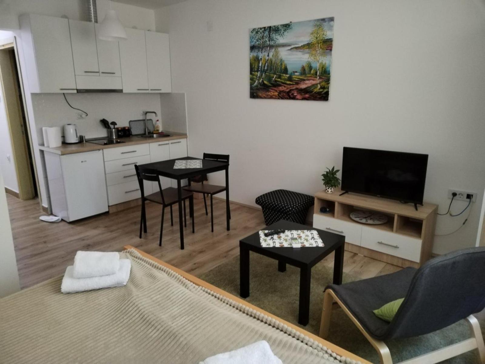 V & V Studio Apartments Ni Cameră foto